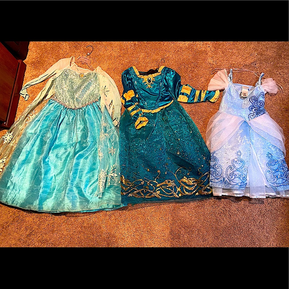 Disney (licensed) Princess Dresses
